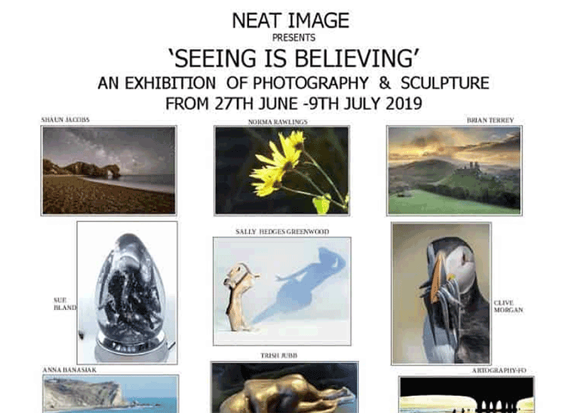 Neat Image - Seeing is Believing Exhibition 2019